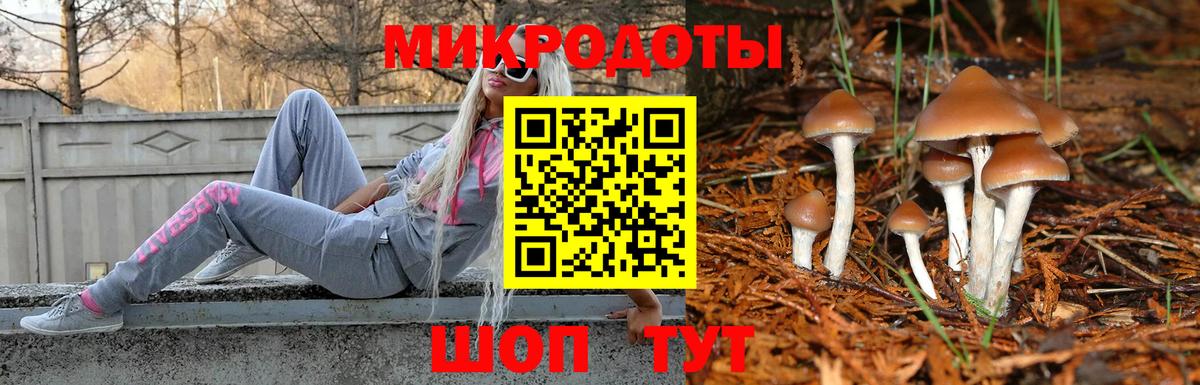 Галлюциногенные грибы Салават